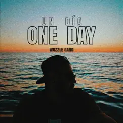 One Day (Un Día) - Single by Wozzle Gang album reviews, ratings, credits