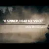 O Sinner Hear My Voice - Single album lyrics, reviews, download