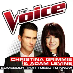 Somebody That I Used To Know (The Voice Performance) Song Lyrics