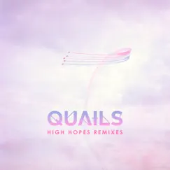 High Hopes (Skin & Bones Remix) Song Lyrics