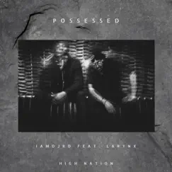 Possessed (feat. Larynx) - Single by Iamdjrd album reviews, ratings, credits