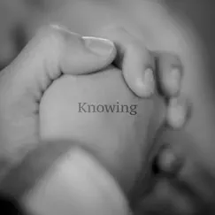 Knowing - Single by Michael Pedrosa album reviews, ratings, credits