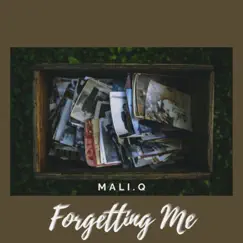 Forgetting Me - Single by Mali.Q album reviews, ratings, credits
