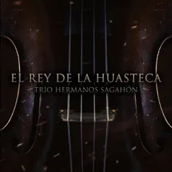 El Rey de la Huasteca Song Lyrics
