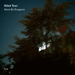 Here Be Dragons by Oded Tzur album reviews, ratings, credits