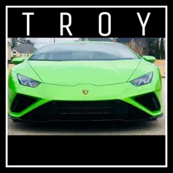 Troy (Custom Song) Song Lyrics