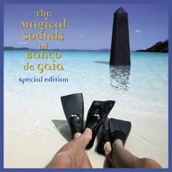 The Magical Sounds of Banco De Gaia (Special Edition) by Banco de Gaia album reviews, ratings, credits