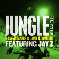 Jungle (Remix) [feat. JAY Z] - Single by X Ambassadors & Jamie N Commons album reviews, ratings, credits