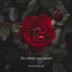 Do What You Want Song Lyrics