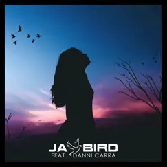 Let You Down (feat. Danni Carra) - Single by Jay Bird album reviews, ratings, credits