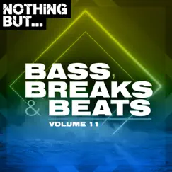 Nothing But... Bass, Breaks & Beats, Vol. 11 by Various Artists album reviews, ratings, credits