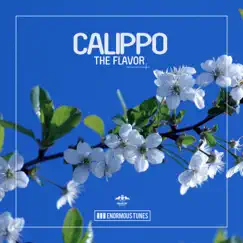 The Flavor - Single by Calippo album reviews, ratings, credits