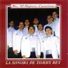 Mis Treinta Mejores Canciones (Parte 1) album lyrics, reviews, download