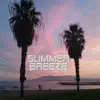 Summer Breeze (Early Instrumental Demo) - Single album lyrics, reviews, download