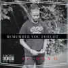 Remember You Forgot - Single album lyrics, reviews, download