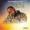 Soaring (Remix) - Single [feat. Canton Jones] - Single album lyrics, reviews, download