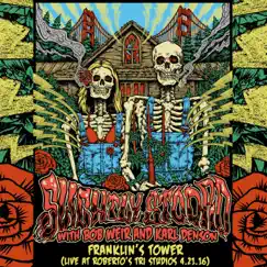 Franklin's Tower (Live at Roberto's Tri Studios 4.21.16) - Single by Slightly Stoopid, Bob Weir & Karl Denson album reviews, ratings, credits