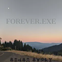 Forever.Exe - Single by Aidan Ayrez album reviews, ratings, credits