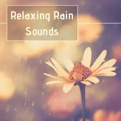 Relaxing Rain Sounds: Best Selection of Gentle Rain Sounds Help You to Relax, Meditate, Sleep by Healing Music & Nature Ambience album reviews, ratings, credits