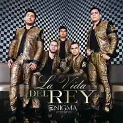 La Vida Del Rey (El Playa) Song Lyrics