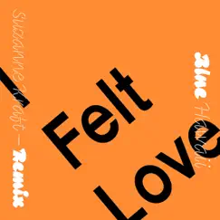I Felt Love (Suzanne Kraft Remix) Song Lyrics