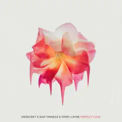 Perfect Love - Single by UNSECRET, Sam Tinnesz & Ivory Layne album reviews, ratings, credits