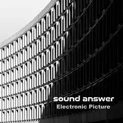 Electronic Picture - Single by Sound Answer album reviews, ratings, credits