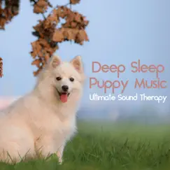 Deep Sleep Puppy Music: Ultimate Sound Therapy by Relaxmydog, Dog Music Dreams & Dog Music album reviews, ratings, credits