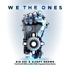 We the Ones (feat. Killer Mike & Big Rube) [Organized Noize Remix] - Single by Big Boi & Sleepy Brown album reviews, ratings, credits