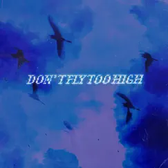 Don't Fly Too High (feat. Jay Sanon) Song Lyrics