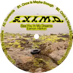 Once Is Maybe Enough (DJ Sports Remix) Song Lyrics