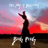 The Sky Is Bleeding - EP album lyrics, reviews, download