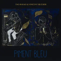 Piment bleu by Tao Ravao & Vincent Bucher album reviews, ratings, credits