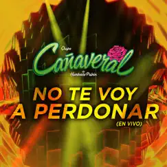 No Te Voy A Perdonar (Desde El Auditorio Nacional) - Single by Grupo Cañaveral de Humberto Pabón album reviews, ratings, credits