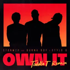 Own It (feat. Burna Boy & Stylo G) [Toddla T Remix] Song Lyrics