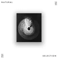 Natural Selection - Single by Chunga album reviews, ratings, credits