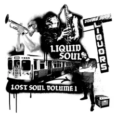 Lost Soul, Vol. 1 by Liquid Soul album reviews, ratings, credits