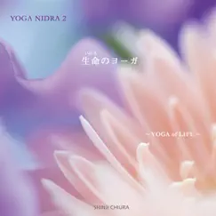 生命(いのち)のヨーガ -YOGA NIDRA No.2- by Shinji Chiura album reviews, ratings, credits