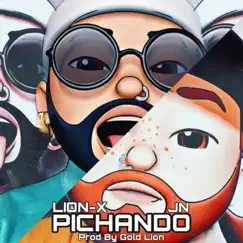 Pichando Song Lyrics