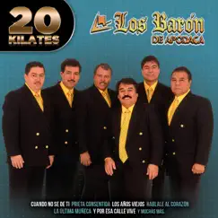 20 Kilates by Los Barón de Apodaca album reviews, ratings, credits