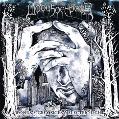 Woods 5: Grey Skies & Electric Light by Woods of Ypres album reviews, ratings, credits