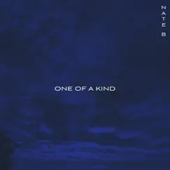 One of a Kind - Single by Nate B album reviews, ratings, credits
