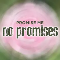 Promise Me No Promises - Single by The Cameron Collective album reviews, ratings, credits