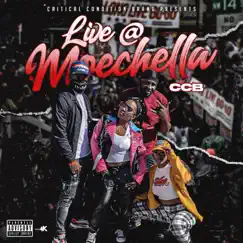 Phatty (Moechella Live) [Live] Song Lyrics