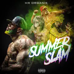 Summer Slam - Single by Mr.Organik album reviews, ratings, credits