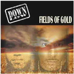 Fields of Gold - Single by Down Low album reviews, ratings, credits