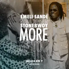 More of You (Booker T Afro House Radio Mix) Song Lyrics