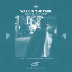 Walk in the Park (Doug Gomez Tambores Mix) Song Lyrics