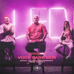 Você Sabe Bem - Single by DaPaz, Felp 22 & Andressinha album reviews, ratings, credits