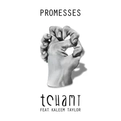 Promesses (feat. Kaleem Taylor) [Radio Edit] Song Lyrics